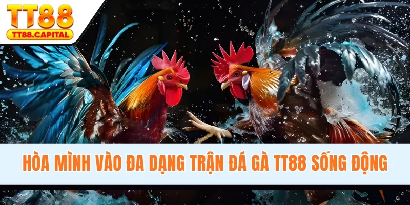 Hòa mình vào đa dạng trận đá gà TT88 sống động
